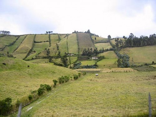 Enforex Ecuador Quito